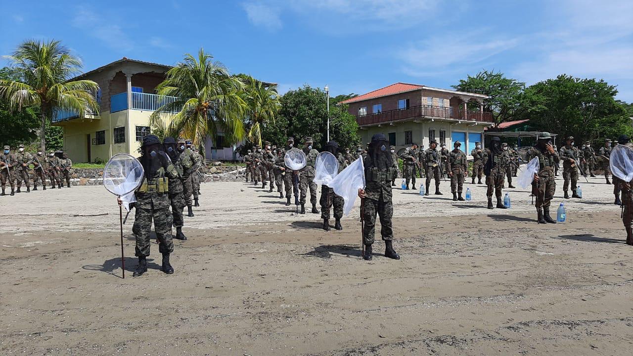Fuerza Armada alista cuadrillas para exterminar plaga de langostas voladoras fuerza-armada-alista-cuadrillas-para-exterminar-plaga-de-langostas-voladoras